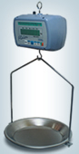systelflaier.jpg (9608 bytes)